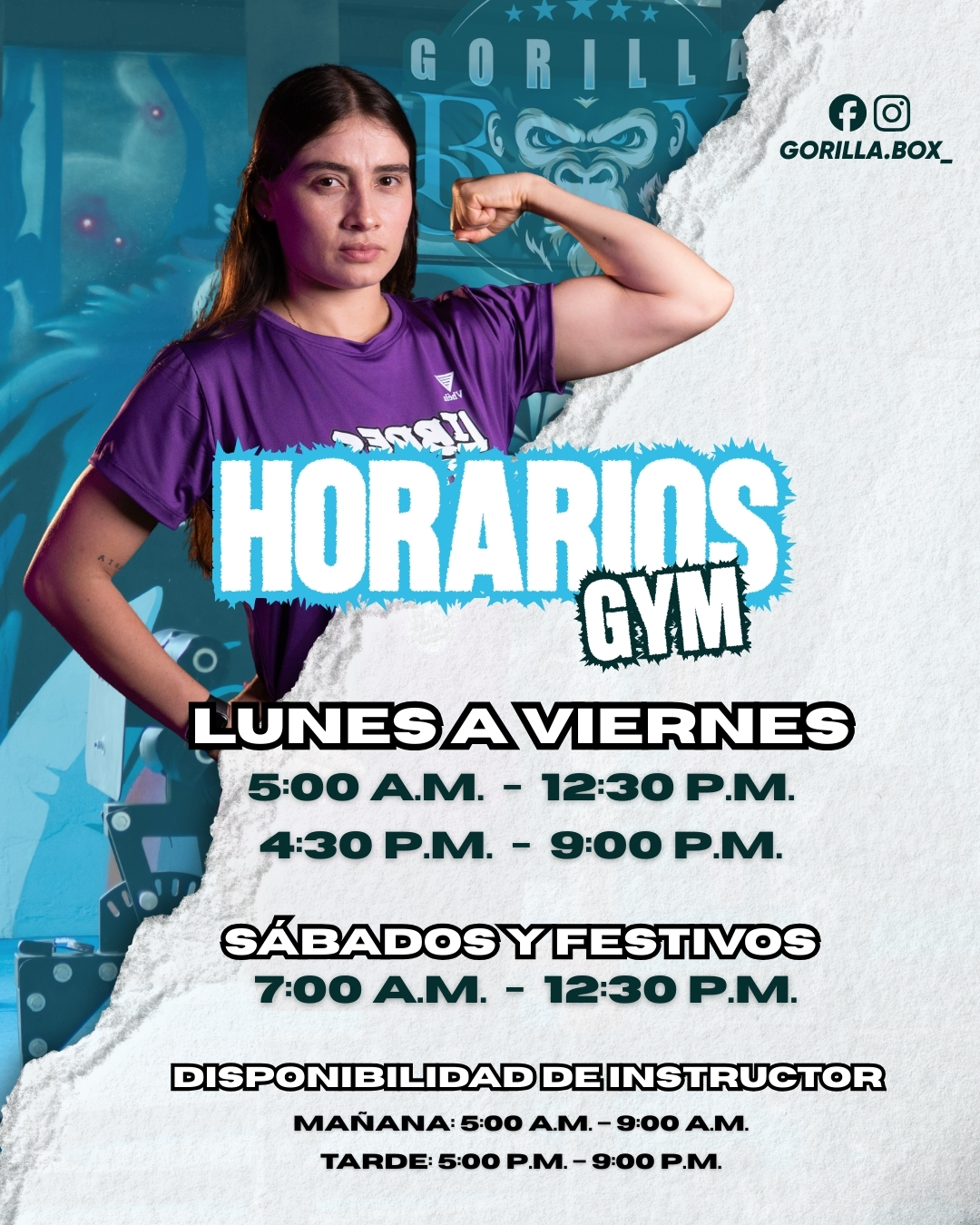 Horarios Gym Feed
