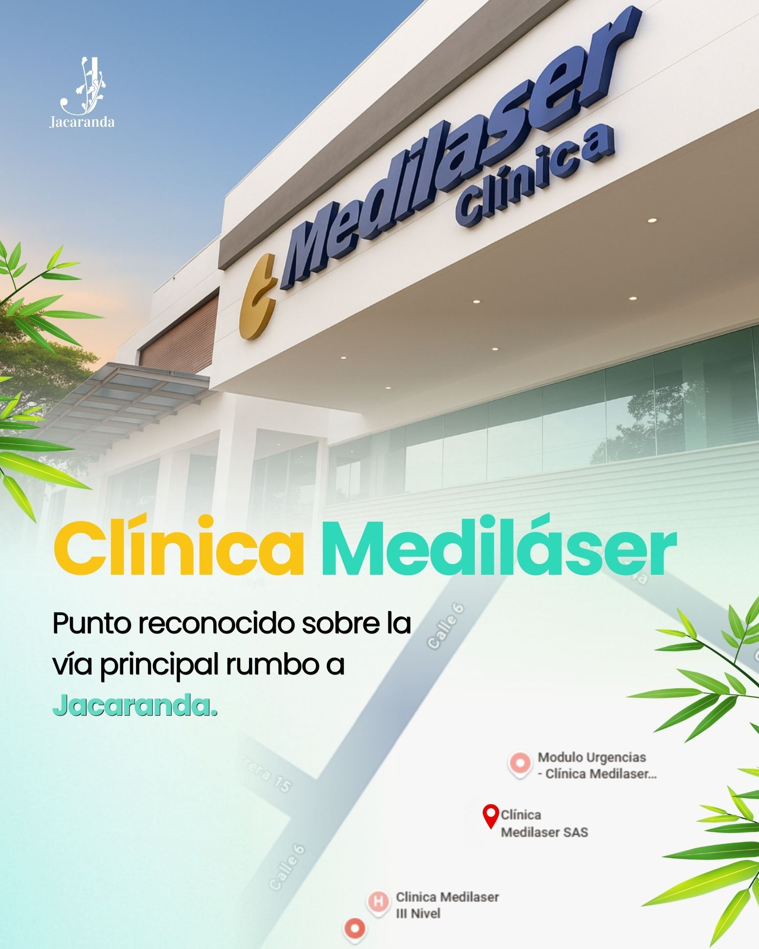 Jacaranda Ubicación 2